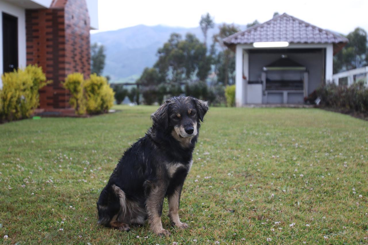 Hosteria Loma Larga Cayambe Exterior photo